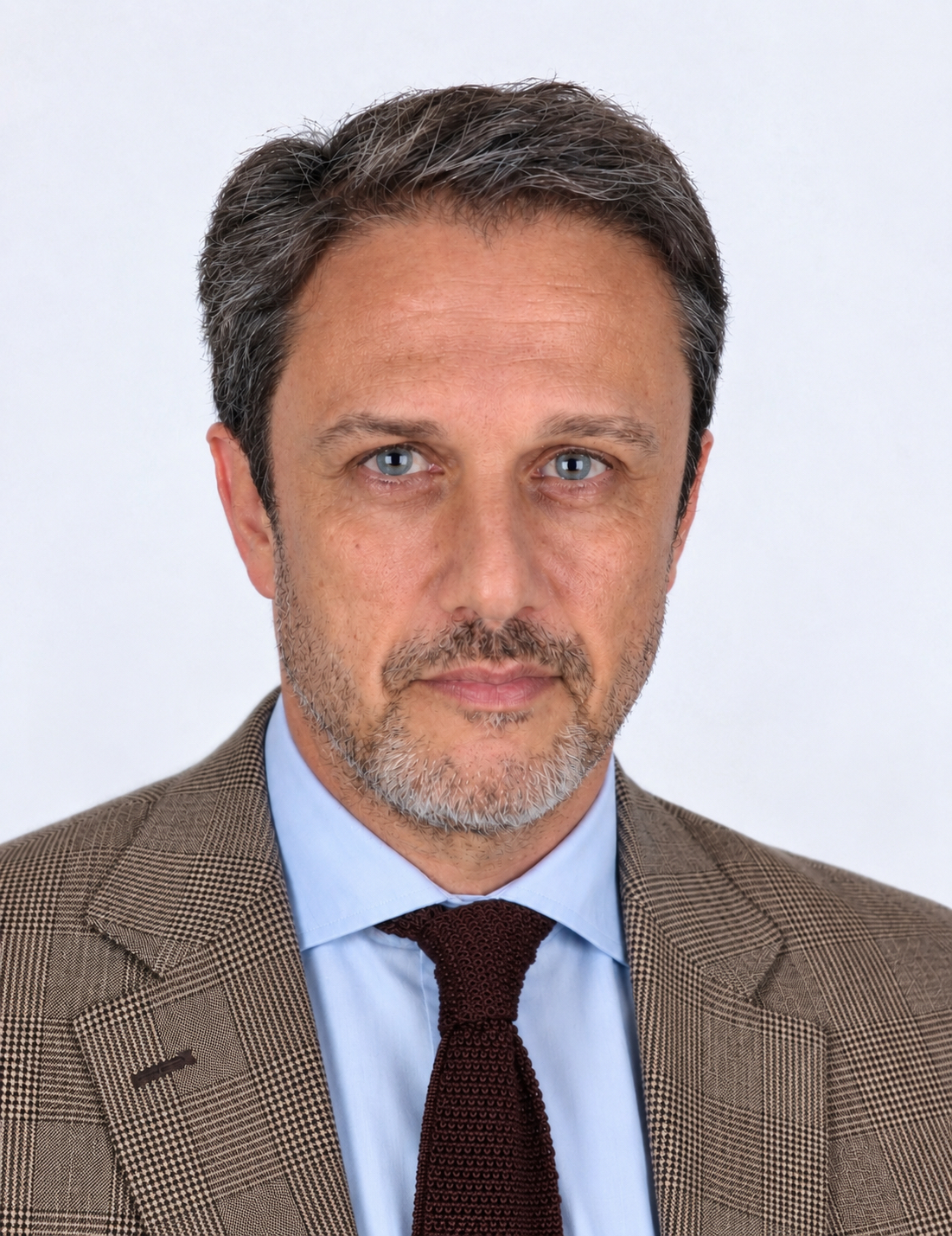 Pedro Geraldes Martins